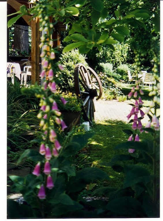 Hotel Villa Luise Bad Rothenfelde Esterno foto